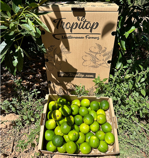 Comprar Lima Online | Tropitop