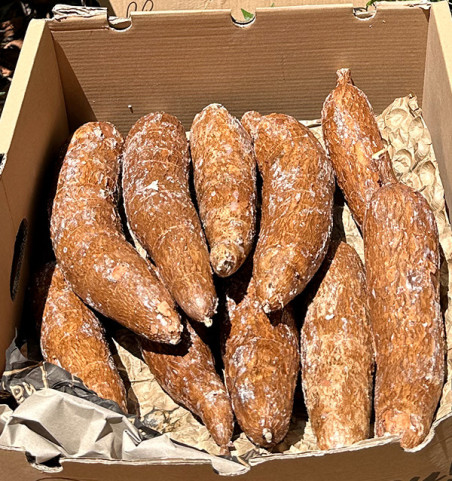 Comprar Yuca Fresca Online | Tropitop