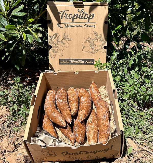 Comprar Mandioca Fresca Online | Tropitop