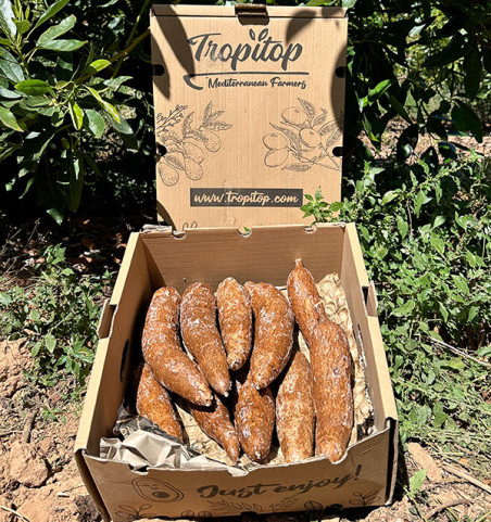 Comprar Yuca Fresca Online | Tropitop