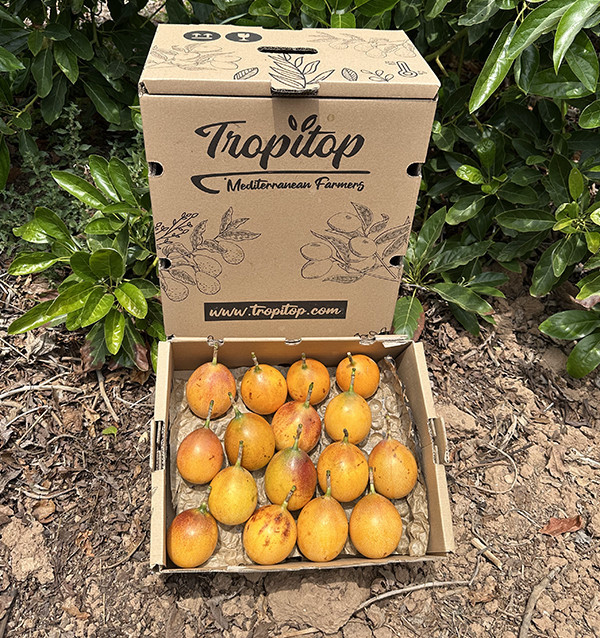 Acheter de la Grenadille en ligne | Grenadille de Colombie | Tropitop