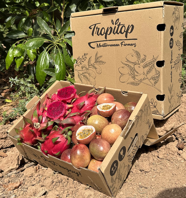 Organic Passion Fruit & Pitahaya Pack | Buy Tropical Fruit Online - Tropitop 2