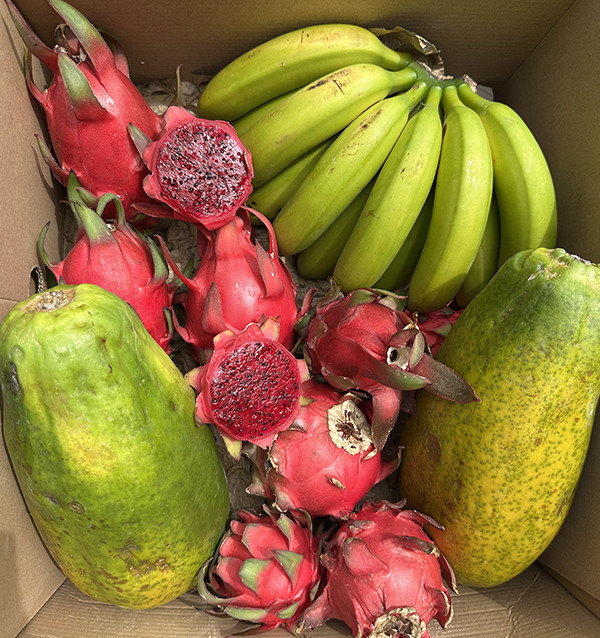 Tropical Smoothie HORECA | Tropical Fruit Suppliers for Smoothies