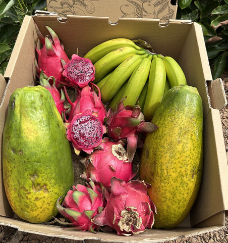 Tropical Smoothie HORECA | Tropical Fruit Suppliers for Smoothies