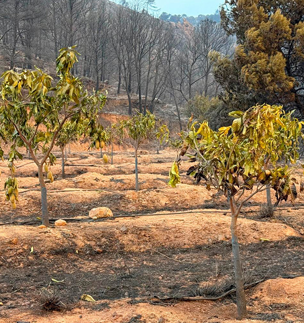 Contribuição voluntária – Incêndio em Peña Alta