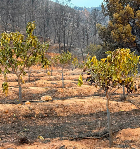 Contribution volontaire – Incendie de Peña Alta