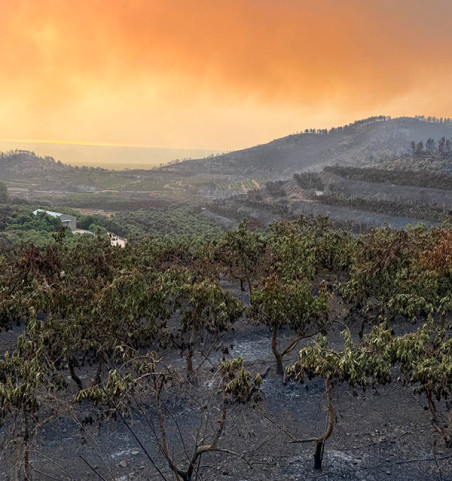 Contribuição voluntária – Incêndio em Peña Alta