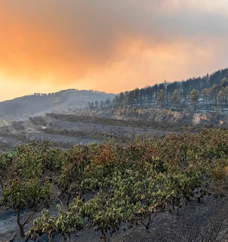 Contribuição voluntária – Incêndio em Peña Alta