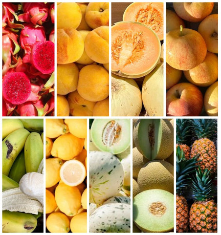 Acquista la Scatola di Frutta di Stagione Online su Tropitop