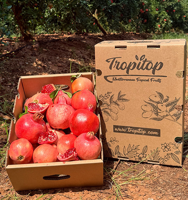 Granatäpfel online bei Tropitop kaufen 2