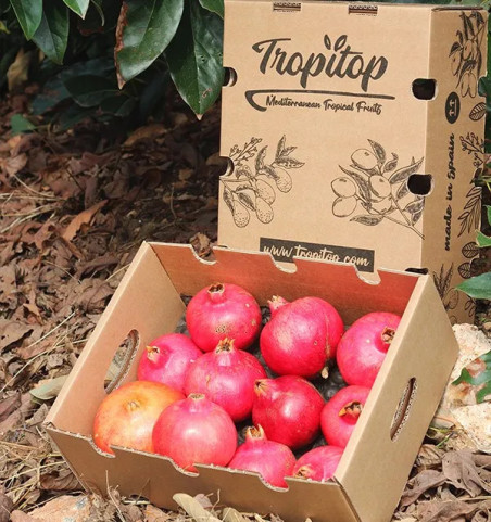 Comprar romãs online na Tropitop