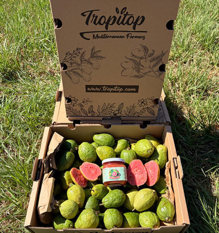 Buy Guava and Guava Jam Pack Online | Tropitop