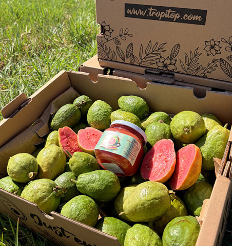 Buy Guava and Guava Jam Pack Online | Tropitop