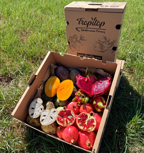Tropisches Pack Mango, Granatapfel, Pitahaya und Cherimoya kaufen | Tropitop 2