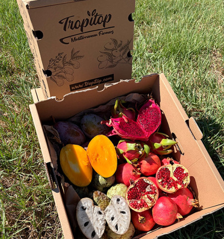 Comprar Pack Tropical Mango, Granada, Pitahaya y Chirimoya | Tropitop