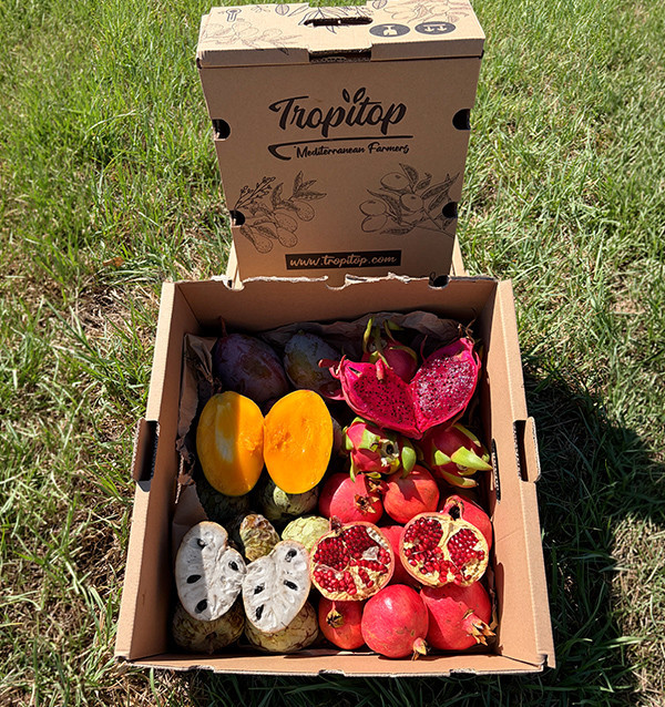 Acquista Pack Tropicale Mango, Melagrana, Pitaya e Cherimoya | Tropitop