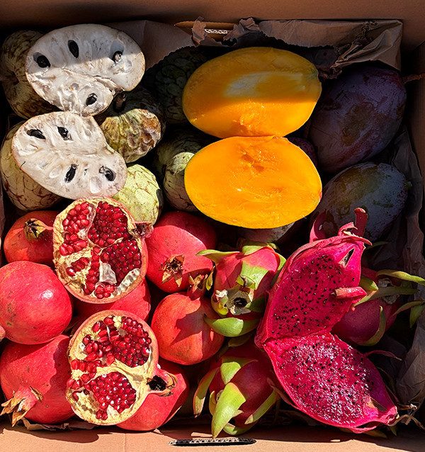 Tropisches Pack Mango, Granatapfel, Pitahaya und Cherimoya kaufen | Tropitop