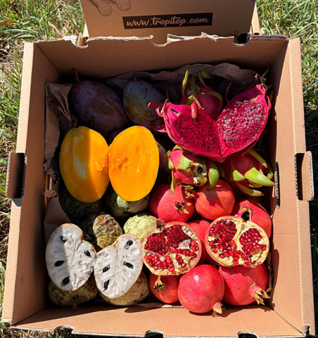 Comprar Pack Tropical Mango, Granada, Pitahaya y Chirimoya | Tropitop