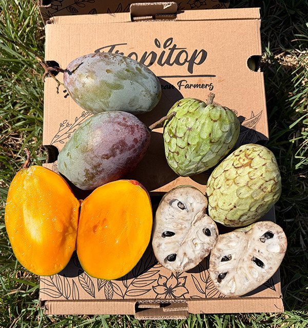 Comprar Pack Chirimoyas y Mangos 4 kg Online | Tropitop