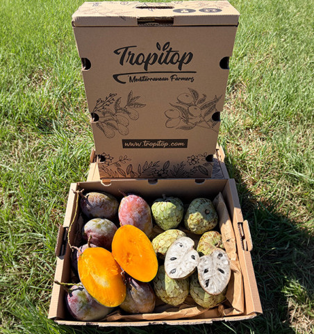 Comprar Pack Chirimoyas y Mangos 4 kg Online | Tropitop