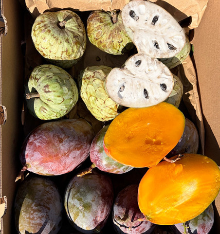Comprar Pack Chirimoyas y Mangos 4 kg Online | Tropitop