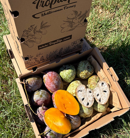 Cherimoya- und Mango-Pack 4 kg online kaufen | Tropitop