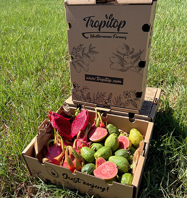 Acheter Pack de Pitayas et Goyaves  en ligne | 100 % BIO | Tropitop