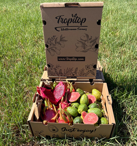 Acheter Pack de Pitayas et Goyaves  en ligne | 100 % BIO | Tropitop