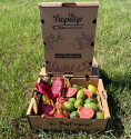 Pack of Dragon Fruit and Guavas