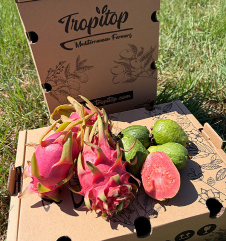 Acheter Pack de Pitayas et Goyaves  en ligne | 100 % BIO | Tropitop