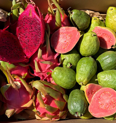 Buy Dragon Fruit and Guava Pack Online | Spanish Fruit | 100% ORGANIC | Tropitop
