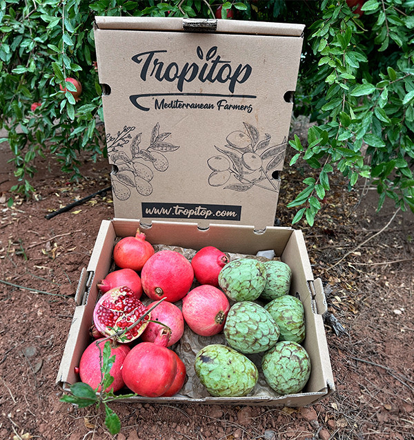 Acquista Pack di Cherimoya e Melograni Online | Tropitop