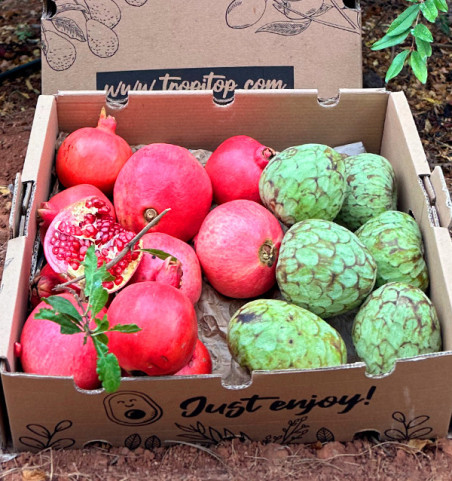 Buy Cherimoya and Pomegranate Pack Online | Tropitop