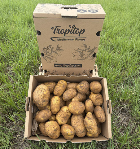 Comprar Batata Agria Online na Tropitop