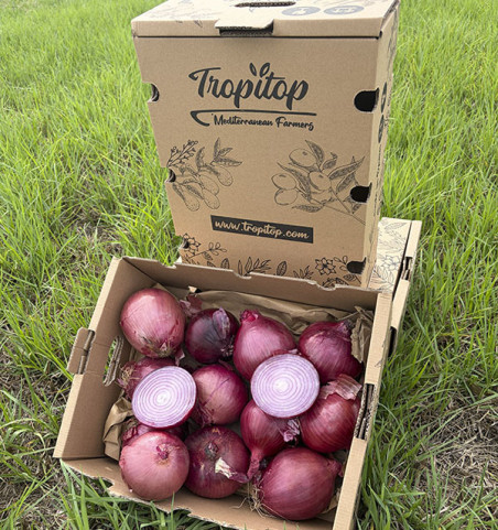 Acheter des Pommes de Terre Agria en Ligne chez Tropitop