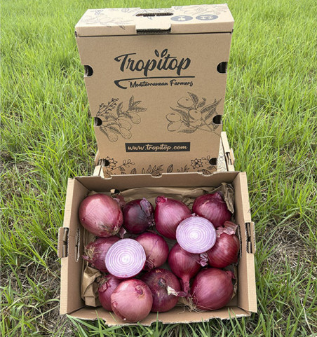 Acquista Patate Agria Online su Tropitop