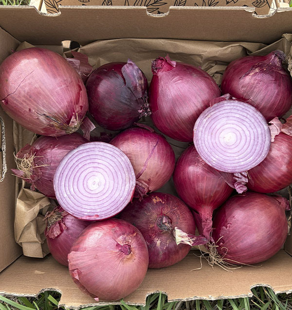 Comprar Batata Agria Online na Tropitop