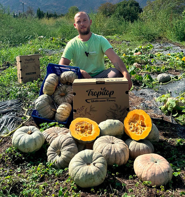 Buy Round Pumpkin for Roasting | Direct from the Farmer – Tropitop