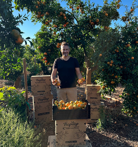 Comprar Mandarinas Valencianas Online | Directas del Agricultor – Tropitop
