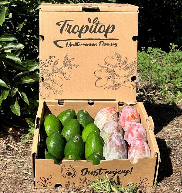 Comprar  Aguacates Bacon y Mangos 2