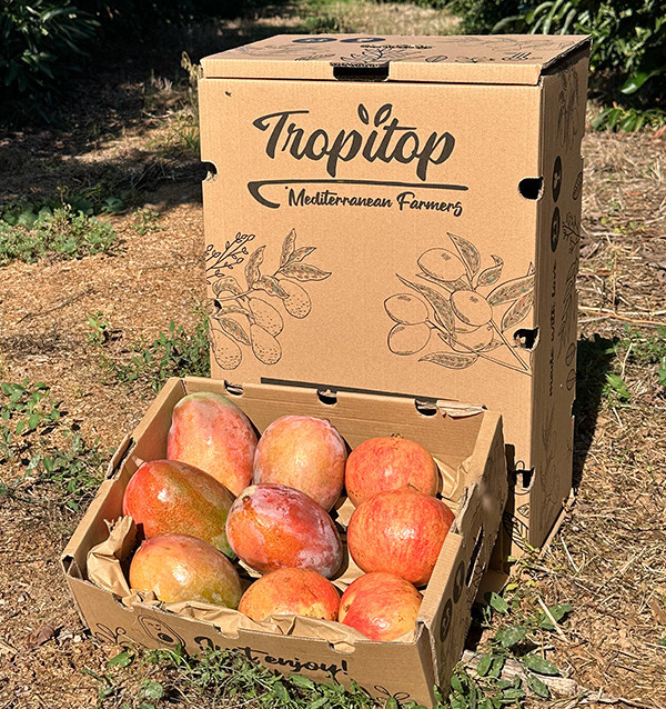 Acheter grenade et mangue en ligne sur Tropitop 2