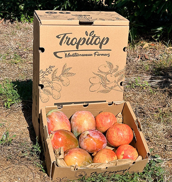 Acheter grenade et mangue en ligne sur Tropitop