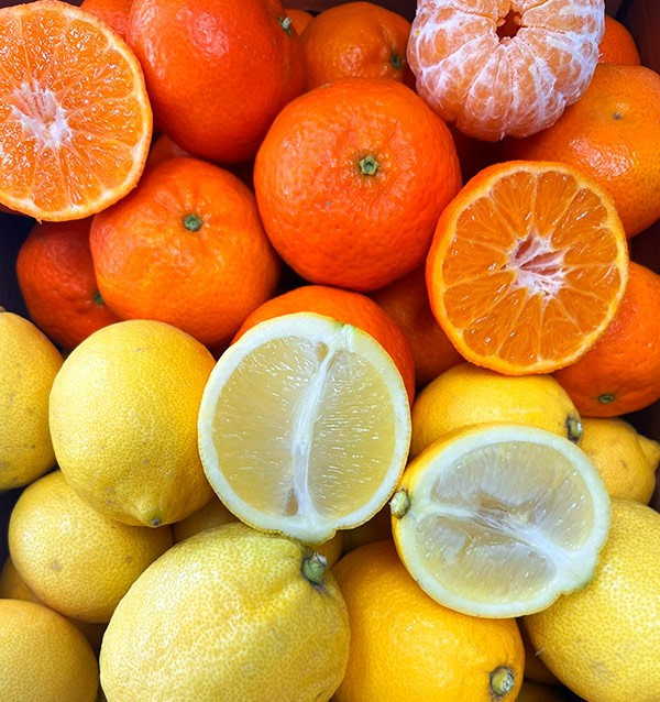 Tangerines and lemons direct from the field to your home