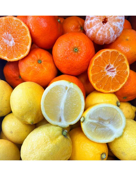 Mandarines et citrons directement du champ à votre domicile