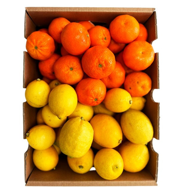 Mandarines et citrons directement du champ à votre domicile 2