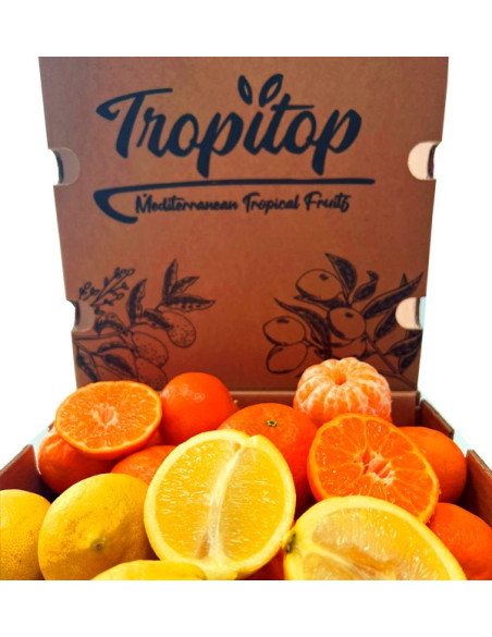 Mandarini e limoni direttamente dal campo a casa tua