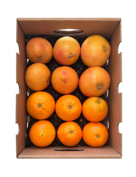 Achetez des pamplemousses et des oranges directement du fermier