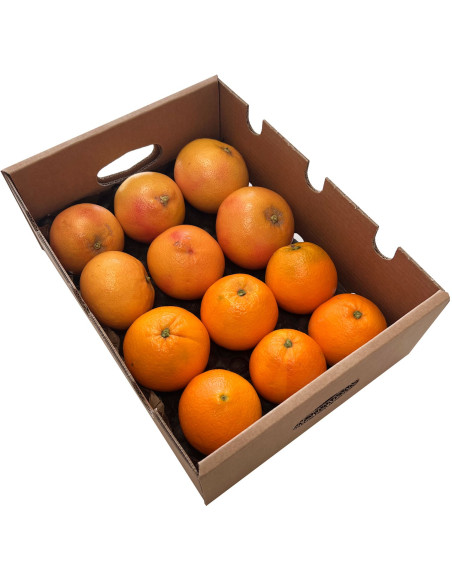 Achetez des pamplemousses et des oranges directement du fermier
