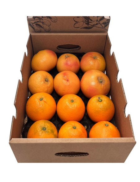 Achetez des pamplemousses et des oranges directement du fermier