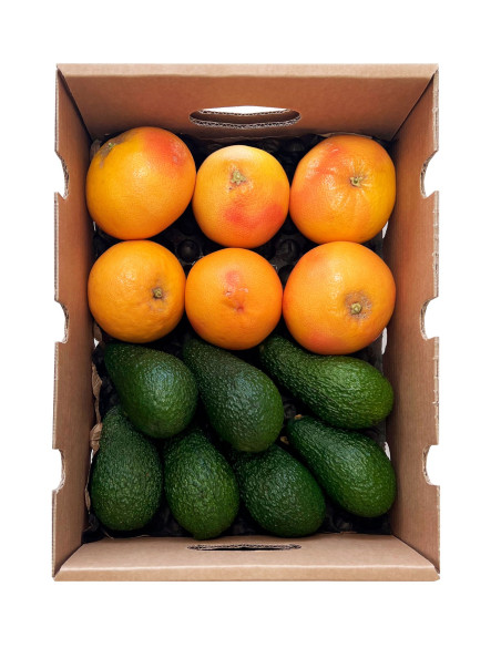 Grapefruits und Avocados vom Feld zu Ihnen nach Hause